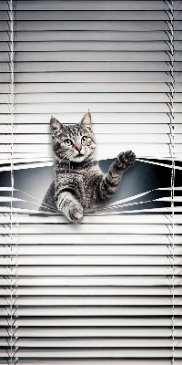 Store intérieur Chat