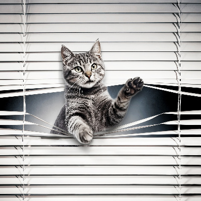 Store intérieur Chat