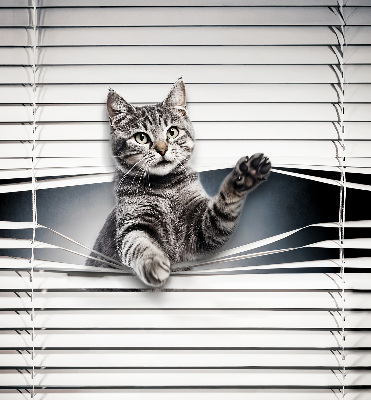 Store intérieur Chat