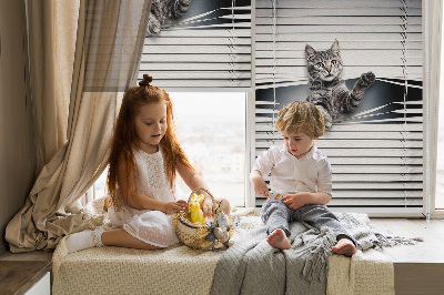 Store intérieur Chat