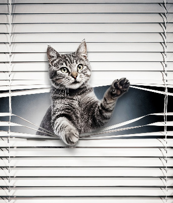 Store intérieur Chat