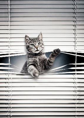 Store intérieur Chat