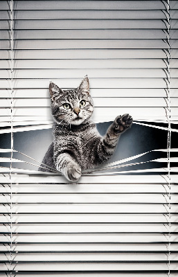 Store intérieur Chat