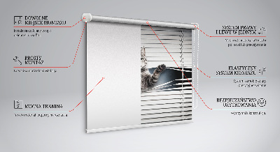 Store intérieur Chat