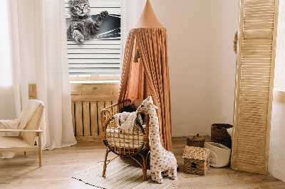 Store intérieur Chat