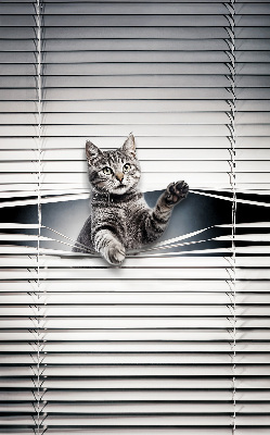 Store intérieur Chat