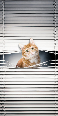 Store enrouleur Chat roux