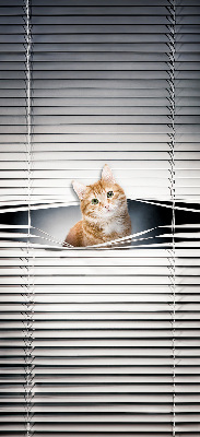 Store enrouleur Chat roux