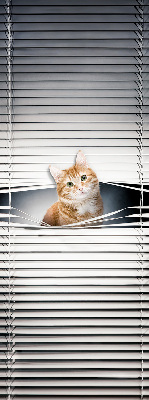 Store enrouleur Chat roux