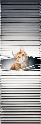 Store enrouleur Chat roux