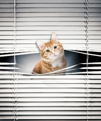 Store enrouleur Chat roux