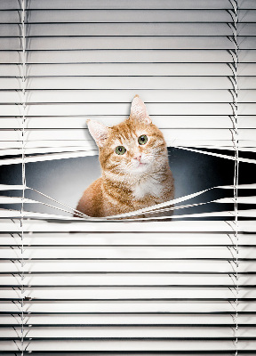 Store enrouleur Chat roux