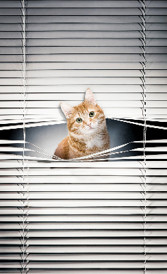 Store enrouleur Chat roux