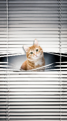 Store enrouleur Chat roux