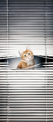 Store enrouleur Chat roux