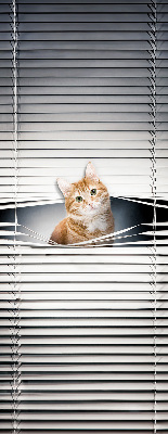 Store enrouleur Chat roux