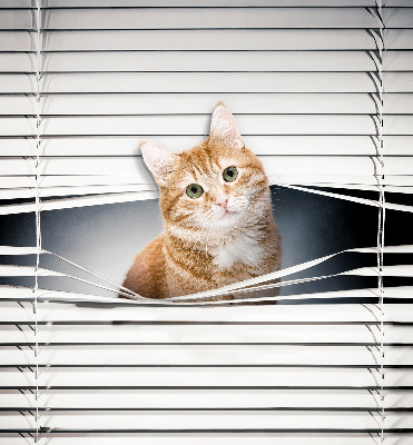 Store enrouleur Chat roux