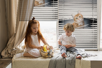 Store enrouleur Chat roux