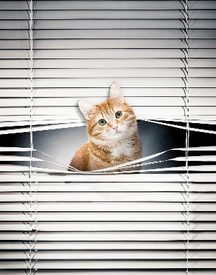 Store enrouleur Chat roux