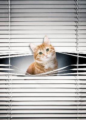 Store enrouleur Chat roux