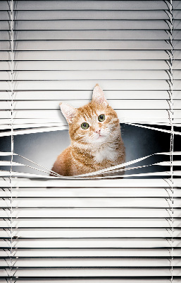 Store enrouleur Chat roux