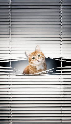 Store enrouleur Chat roux