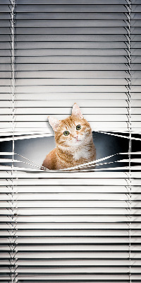 Store enrouleur Chat roux