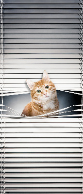 Store enrouleur Chat roux