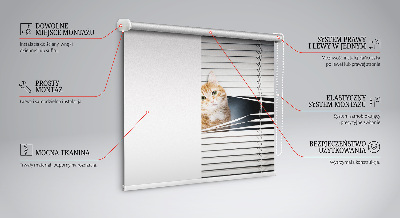 Store enrouleur Chat roux