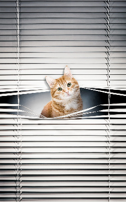 Store enrouleur Chat roux