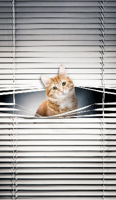 Store enrouleur Chat roux