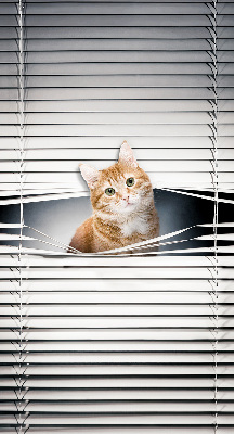 Store enrouleur Chat roux