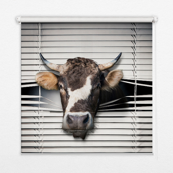 Store intérieur Vache