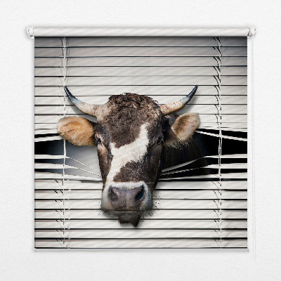 Store intérieur Vache