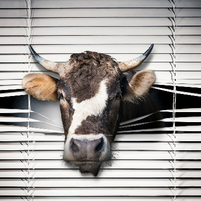 Store intérieur Vache