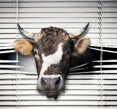 Store intérieur Vache