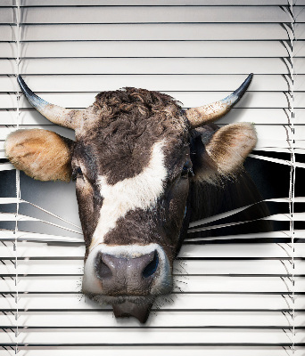 Store intérieur Vache