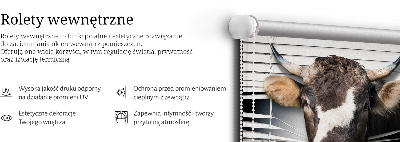 Store intérieur Vache