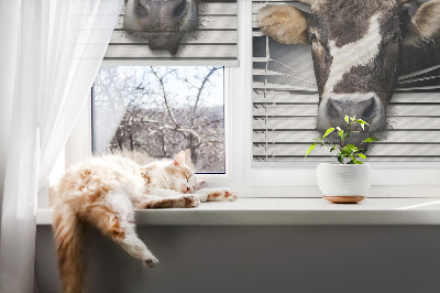 Store intérieur Vache