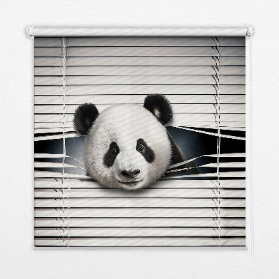 Store enrouleur Panda
