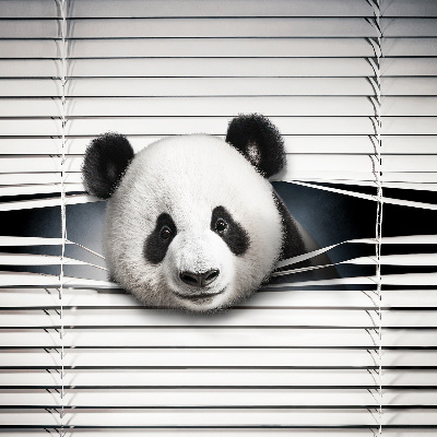 Store enrouleur Panda