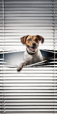 Store intérieur Chien