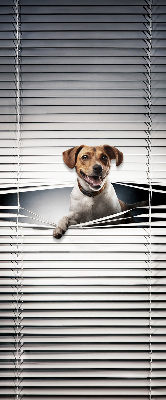 Store intérieur Chien