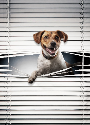 Store intérieur Chien
