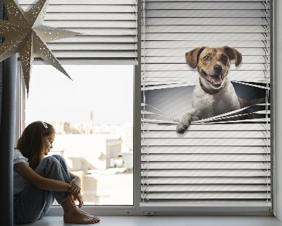 Store intérieur Chien