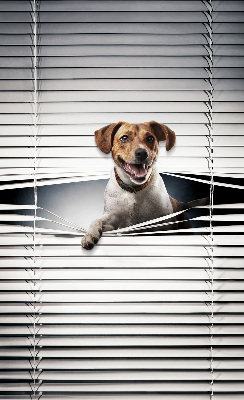 Store intérieur Chien