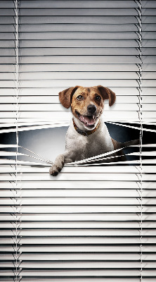 Store intérieur Chien