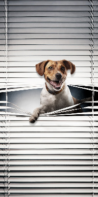 Store intérieur Chien