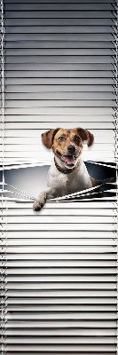 Store intérieur Chien