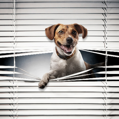 Store intérieur Chien